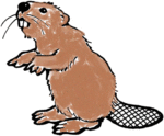 beaver-17-coloring-page